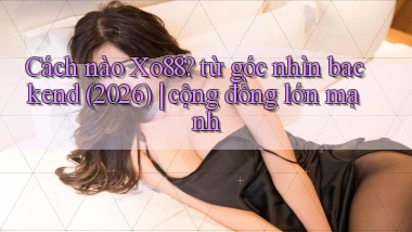 Cách nào Xo88 từ góc nhìn backend (2026) cộng đồng lớn mạnh