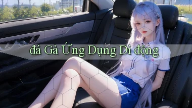 đá gà Ứng dụng di động