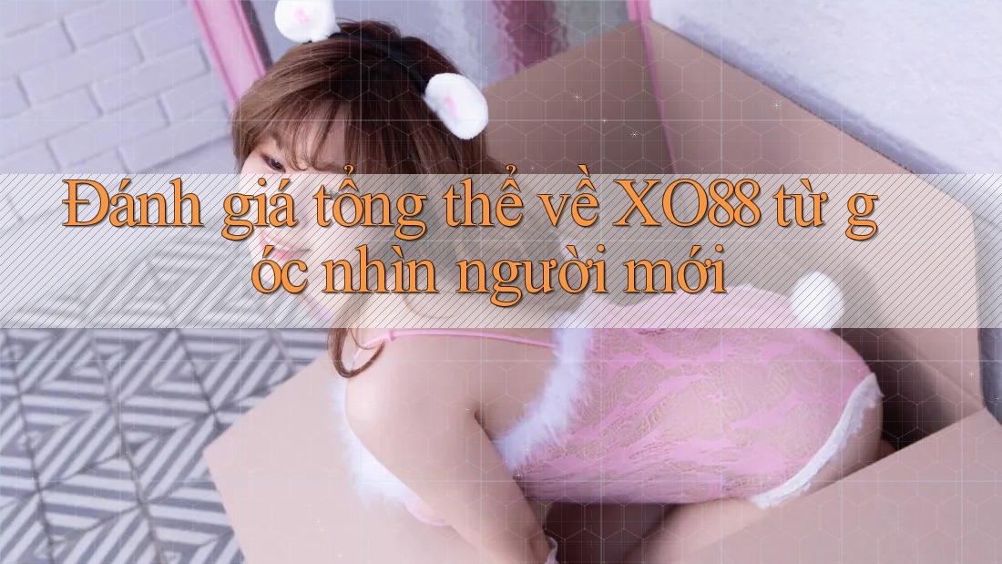 Đánh giá tổng thể về XO88 từ góc nhìn người mới Đánh giá tổng thể về XO88 từ góc nhìn người mới