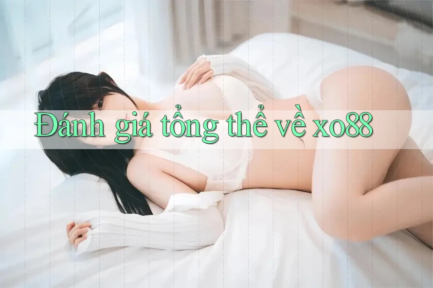 Đánh giá tổng thể về xo88 Đánh giá tổng thể về xo88