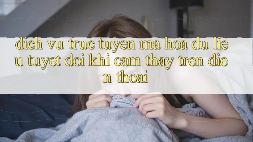 Dịch vụ trực tuyến Mã hóa dữ liệu Tuyệt Đối Khi Cảm thấy Trên Điện Thoại Dịch vụ trực tuyến Mã hóa dữ liệu Tuyệt Đối Khi Cảm thấy Trên Điện Thoại
