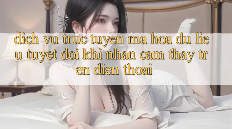 Dịch vụ trực tuyến Mã hóa dữ liệu Tuyệt Đối Khi Nhận cảm thấy Trên Điện Thoại