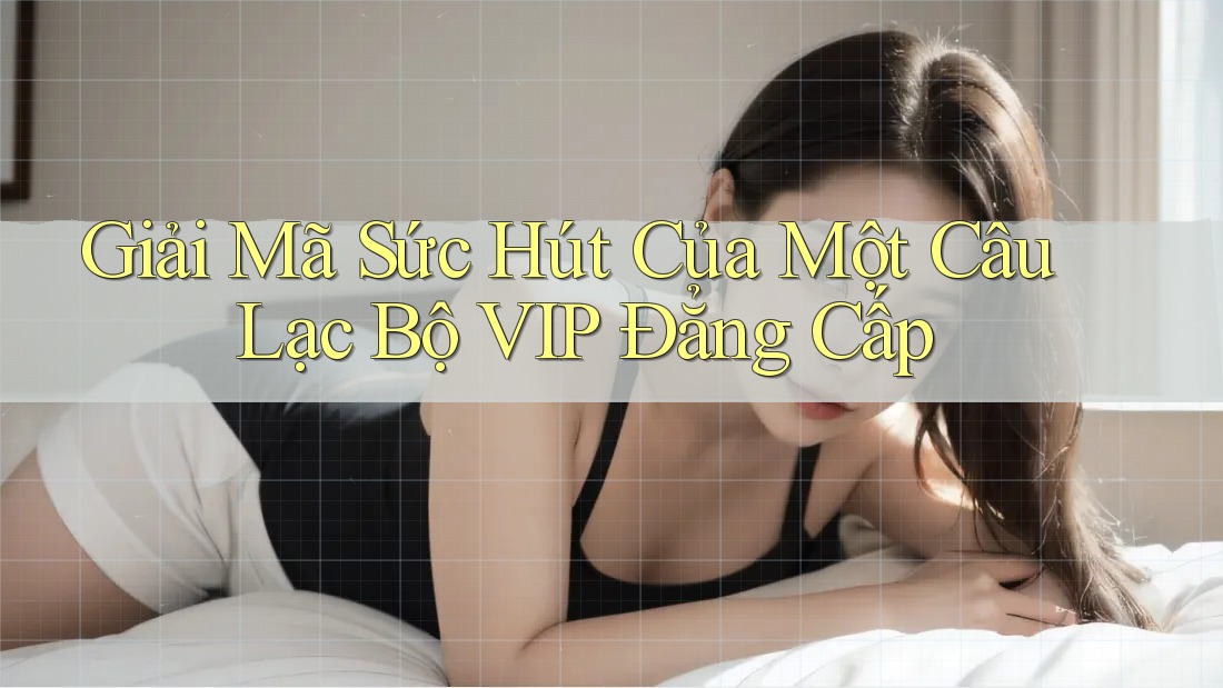 Giải Mã Sức Hút Của Một Câu Lạc Bộ VIP Đẳng Cấp Giải Mã Sức Hút Của Một Câu Lạc Bộ VIP Đẳng Cấp