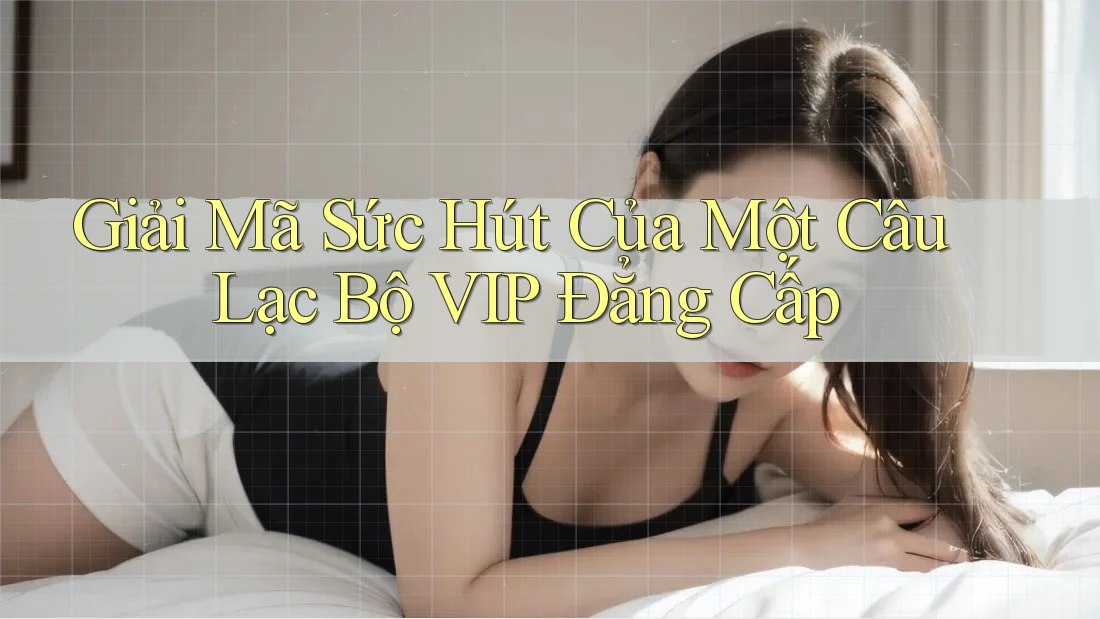 Giải Mã Sức Hút Của Một Câu Lạc Bộ VIP Đẳng Cấp Giải Mã Sức Hút Của Một Câu Lạc Bộ VIP Đẳng Cấp