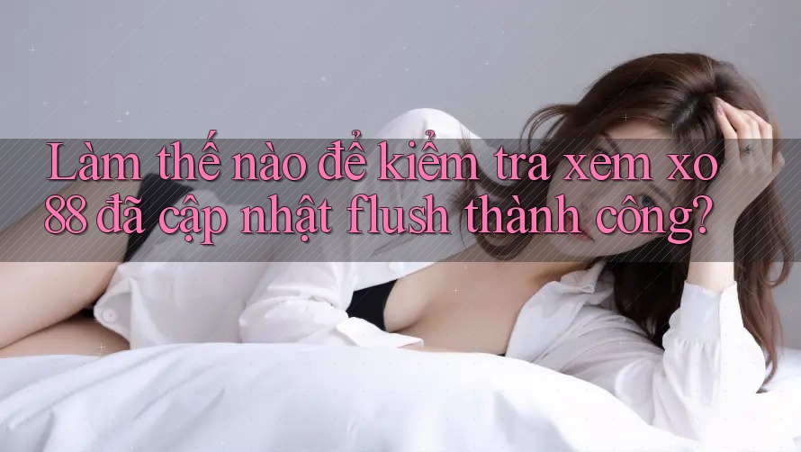 Làm thế nào để kiểm tra xem xo88 đã cập nhật flush thành công?