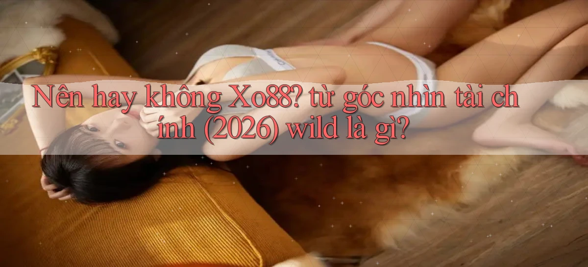 Nên hay không Xo88 từ góc nhìn tài chính (2026) wild là gì
