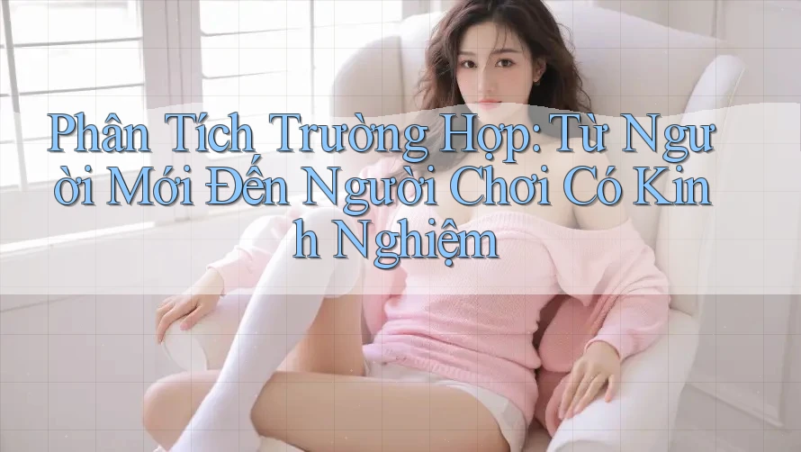 Phân Tích Trường Hợp: Từ Người Mới Đến Người Chơi Có Kinh Nghiệm