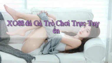 xo88  đá gà trò chơi trực tuyến