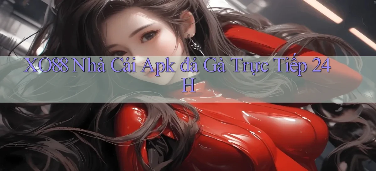 xo88  nhà cái apk đá gà trực tiếp 24h